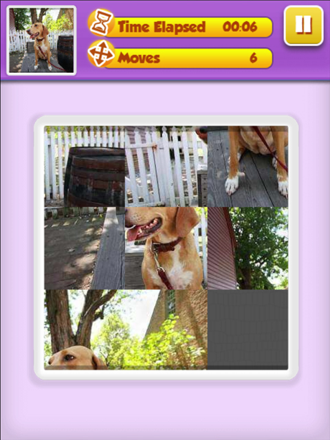 Bilder schieben - Tiere